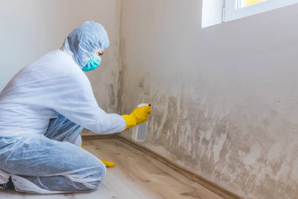 Hvac And Air Duct Mold Remediation inspection of HVAC system in Massapequa