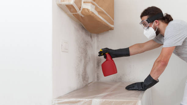 Attic Mold Remediation treatment on roof deck in Massapequa